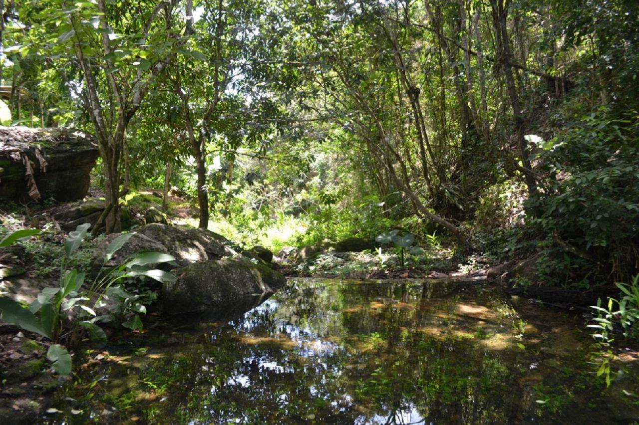 Villa Sitio Alto Da Montanha - Voce Em Paz Com A Natureza Pacoti Exterior foto