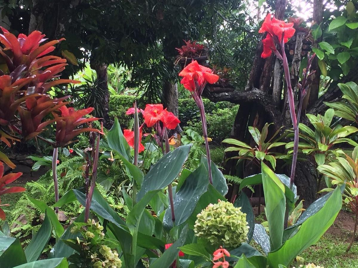 Villa Sitio Alto Da Montanha - Voce Em Paz Com A Natureza Pacoti Exterior foto